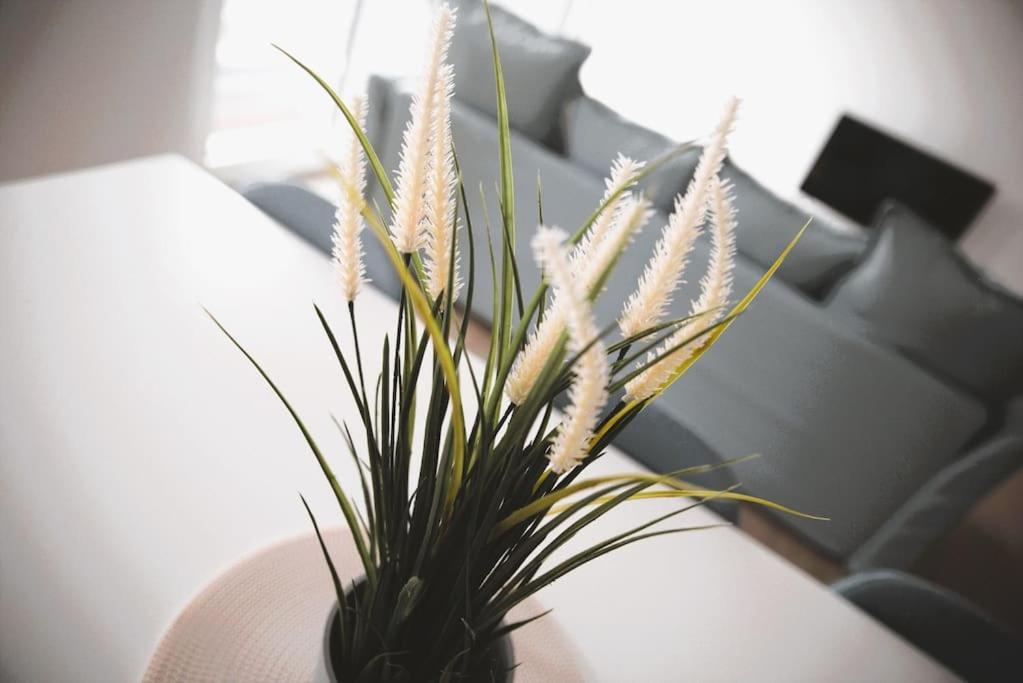 Beautiful Stylish 2Br Apartment In Kirchberg Luxemburg Buitenkant foto